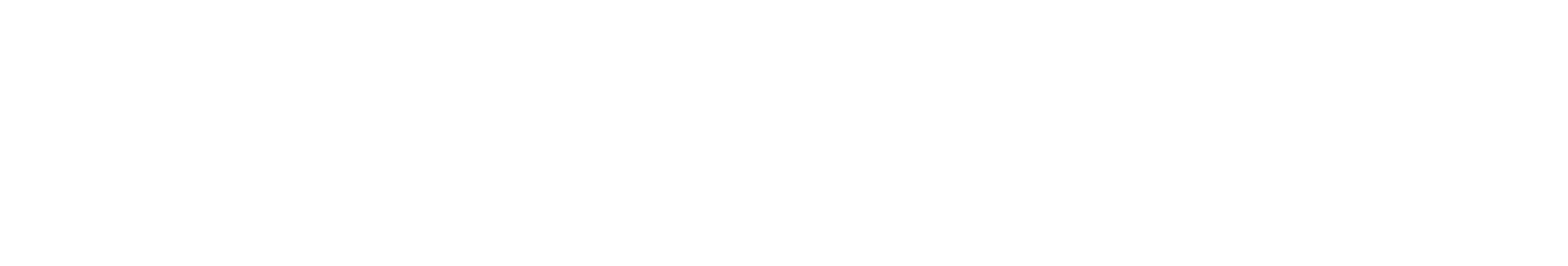 themini